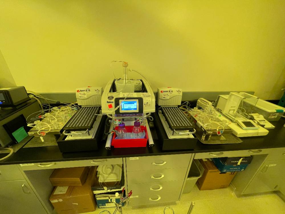 Image of Hanson Vision AutoFill Dissolution System with PolyBath